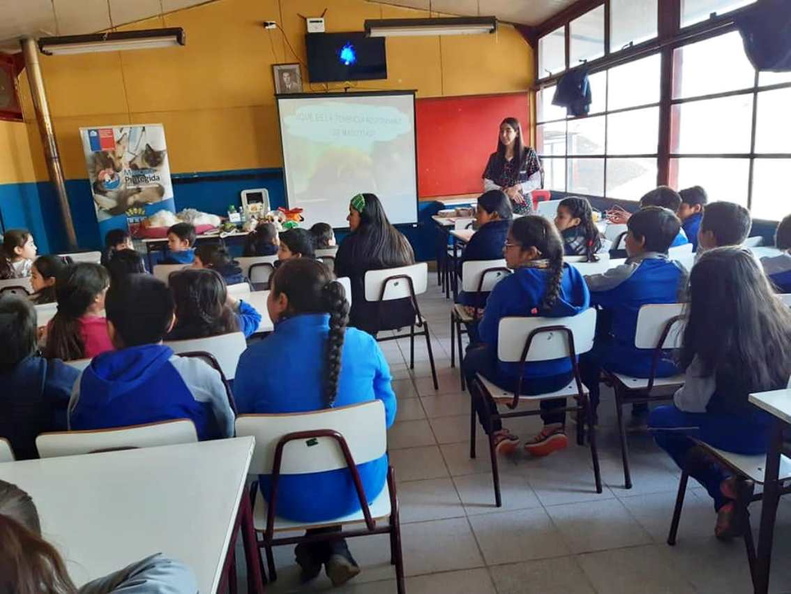 Charla sobre Tenencia Responsable de Mascotas fue realizada en la Escuela Javier Jarpa Sotomayor 16-08-2019 (3)