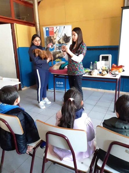 Charla sobre Tenencia Responsable de Mascotas fue realizada en la Escuela Javier Jarpa Sotomayor 16-08-2019 (12).jpg