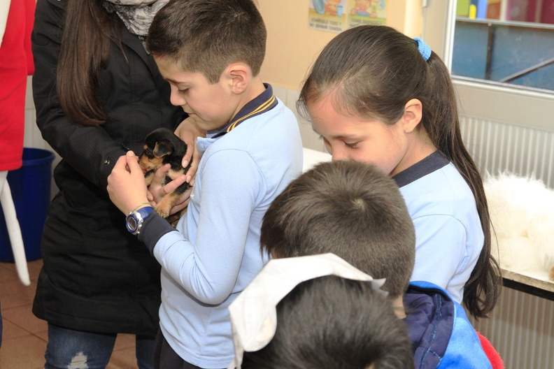 Charla sobre Tenencia Responsable de Mascotas fue realizada en la Escuela Juan Jorge 21-08-2019 (10)
