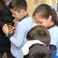 Charla sobre Tenencia Responsable de Mascotas fue realizada en la Escuela Juan Jorge 21-08-2019 (10)