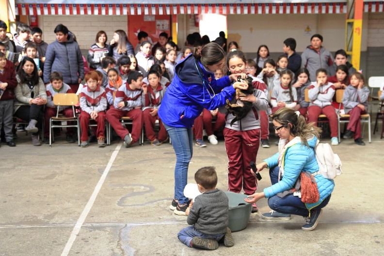 Charla masiva sobre Tenencia Responsable de Mascotas fue realizada en la escuela Puerta de la Cordillera 11-09-2019 (3).jpg