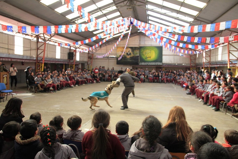 Charla masiva sobre Tenencia Responsable de Mascotas fue realizada en la escuela Puerta de la Cordillera 11-09-2019 (4)