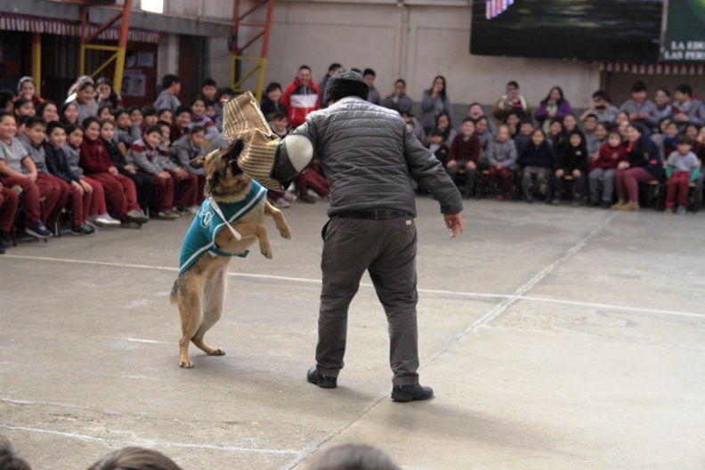 Charla masiva sobre Tenencia Responsable de Mascotas fue realizada en la escuela Puerta de la Cordillera 11-09-2019 (5).jpg