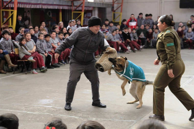 Charla masiva sobre Tenencia Responsable de Mascotas fue realizada en la escuela Puerta de la Cordillera 11-09-2019 (6).jpg