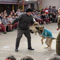 Charla masiva sobre Tenencia Responsable de Mascotas fue realizada en la escuela Puerta de la Cordillera 11-09-2019 (6)