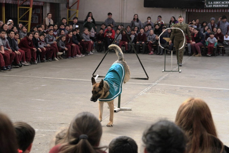 Charla masiva sobre Tenencia Responsable de Mascotas fue realizada en la escuela Puerta de la Cordillera 11-09-2019 (7)