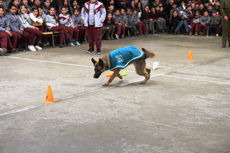 Charla masiva sobre Tenencia Responsable de Mascotas fue realizada en la escuela Puerta de la Cordillera 11-09-2019 (14)
