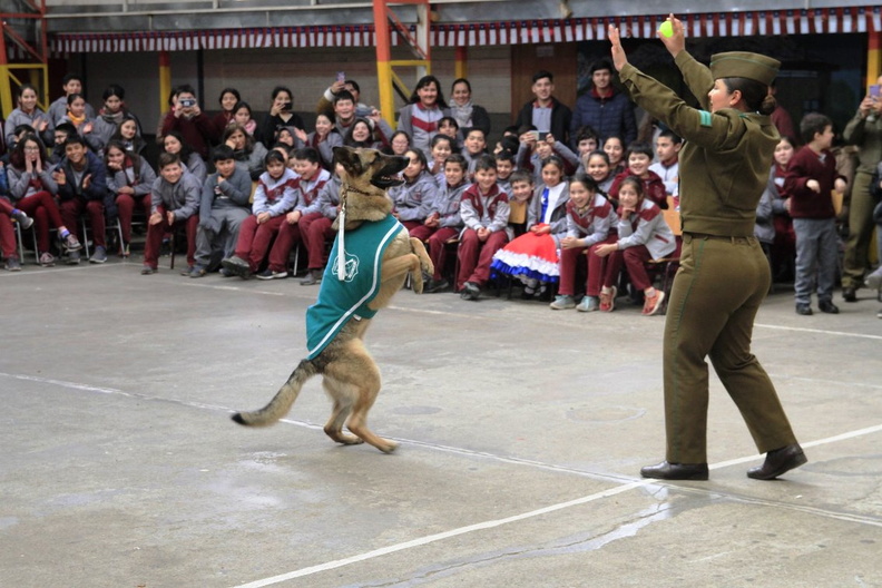 Charla masiva sobre Tenencia Responsable de Mascotas fue realizada en la escuela Puerta de la Cordillera 11-09-2019 (15)