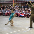 Charla masiva sobre Tenencia Responsable de Mascotas fue realizada en la escuela Puerta de la Cordillera 11-09-2019 (15).jpg