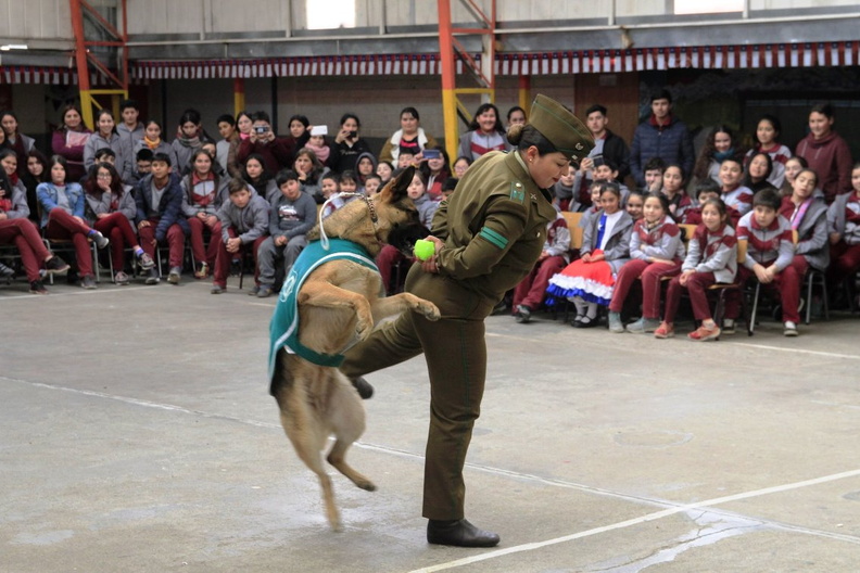 Charla masiva sobre Tenencia Responsable de Mascotas fue realizada en la escuela Puerta de la Cordillera 11-09-2019 (16)