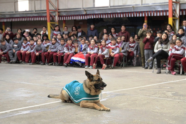 Charla masiva sobre Tenencia Responsable de Mascotas fue realizada en la escuela Puerta de la Cordillera 11-09-2019 (17).jpg