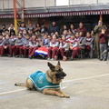 Charla masiva sobre Tenencia Responsable de Mascotas fue realizada en la escuela Puerta de la Cordillera 11-09-2019 (17)