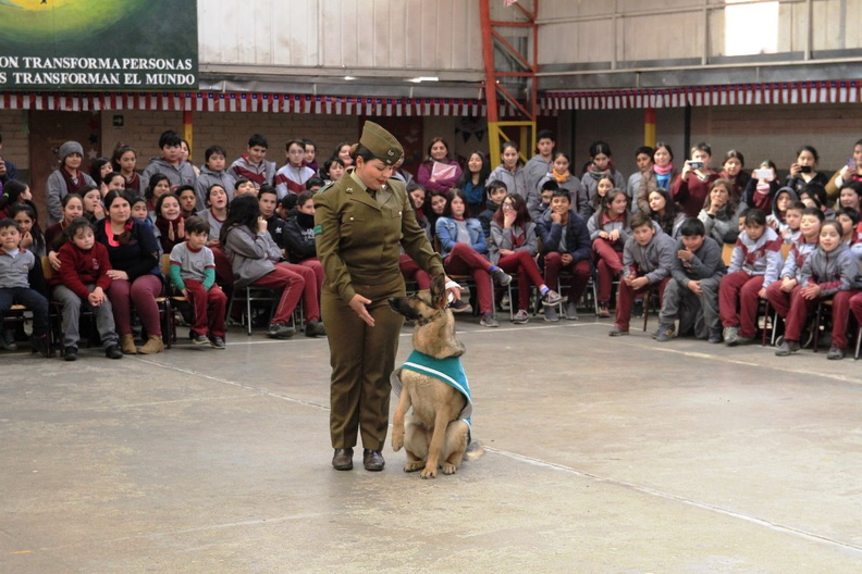 Charla masiva sobre Tenencia Responsable de Mascotas fue realizada en la escuela Puerta de la Cordillera 11-09-2019 (19).jpg