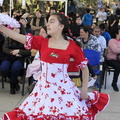 Escuela Javier Jarpa Sotomayor de Los Lleuques celebró Fiestas Patrias 14-09-2019 (20)