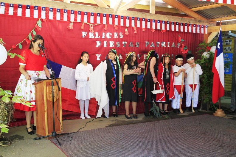 Escuela nido de golondrinas celebraron Fiestas Patrias y su Aniversario N°47 16-09-2019 (39)