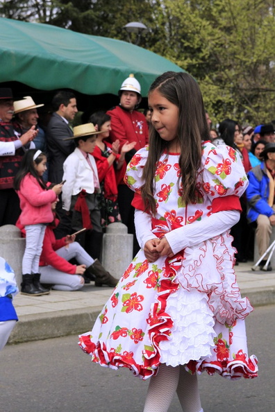 Desfile de Fiestas Patrias 17-09-2019 (21)