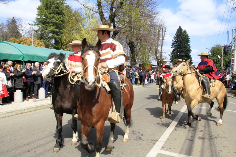 Desfile de Fiestas Patrias 17-09-2019 (83)