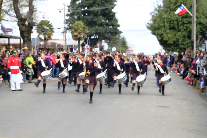 Desfile de Fiestas Patrias 17-09-2019 (102)