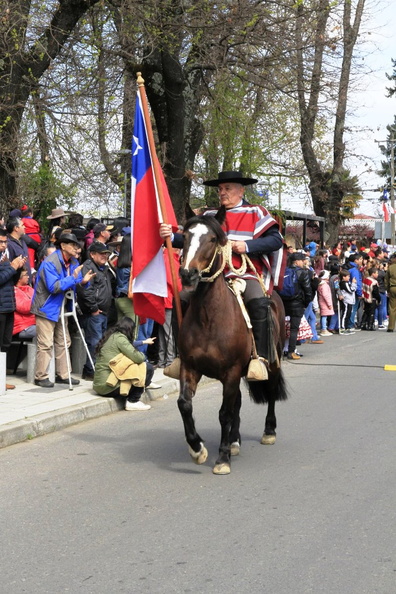 Desfile de Fiestas Patrias 17-09-2019 (242)