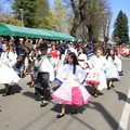 Desfile de Fiestas Patrias 17-09-2019 (277)