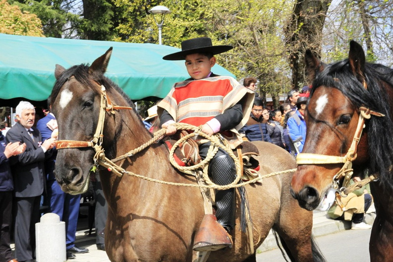 Desfile de Fiestas Patrias 17-09-2019 (475)