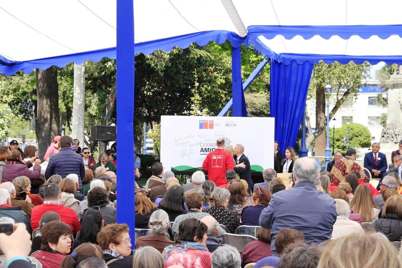 Ñuble firma compromiso para convertir sus comunas en “ciudades amigables” con los adultos mayores 05-10-2019 (34)