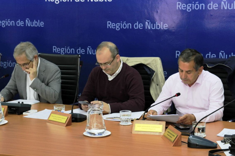 Gobierno Regional aprobó dos multicanchas para el Ciruelito y Los Llueques Bajos por 60 millones de pesos 17-10-2019 (7).jpg