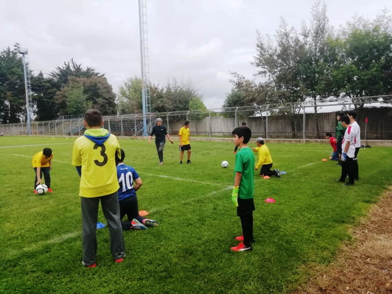 Clínica Deportiva organizada por el departamento de Deportes 28-10-2019 (3)
