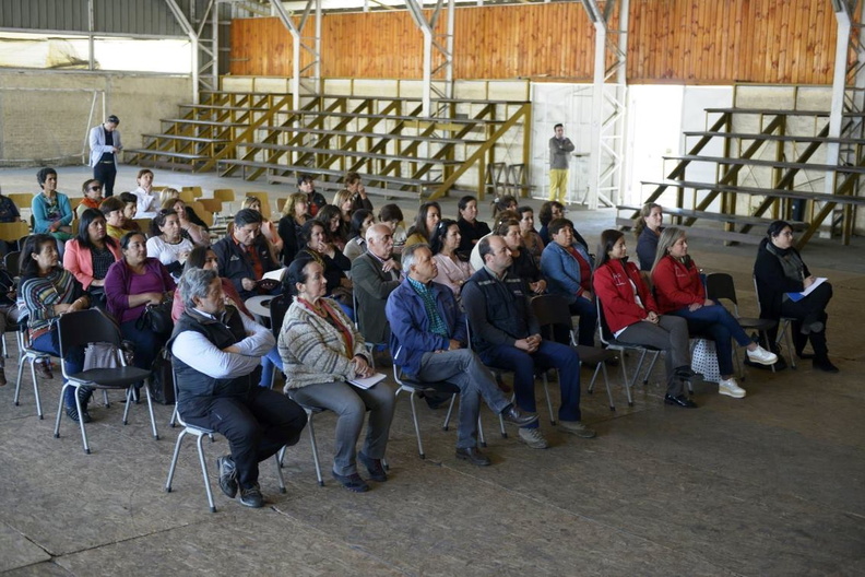 1° Encuentro de Mujeres de la comuna de Pinto 05-11-2019 (16).jpg