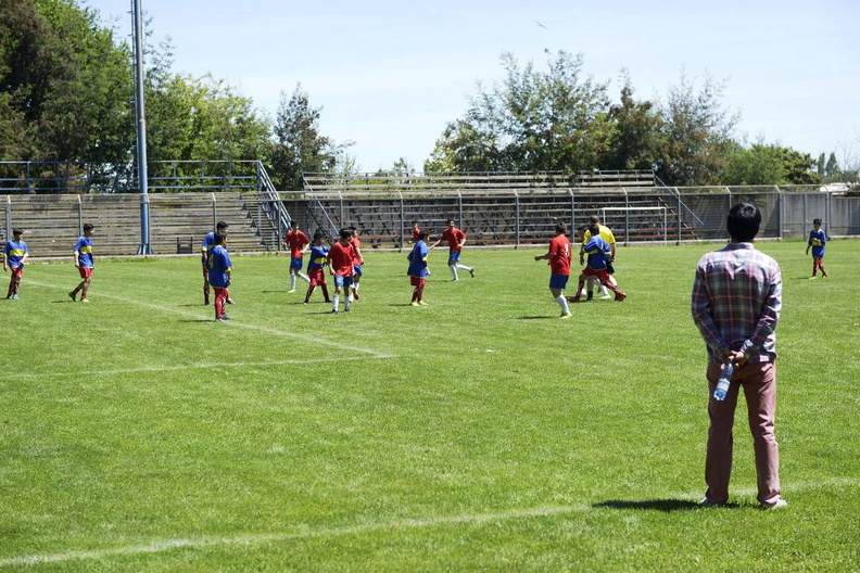 Final del Campeonato de fútbol infantil de escuelas municipalizadas 07-11-2019 (11).jpg