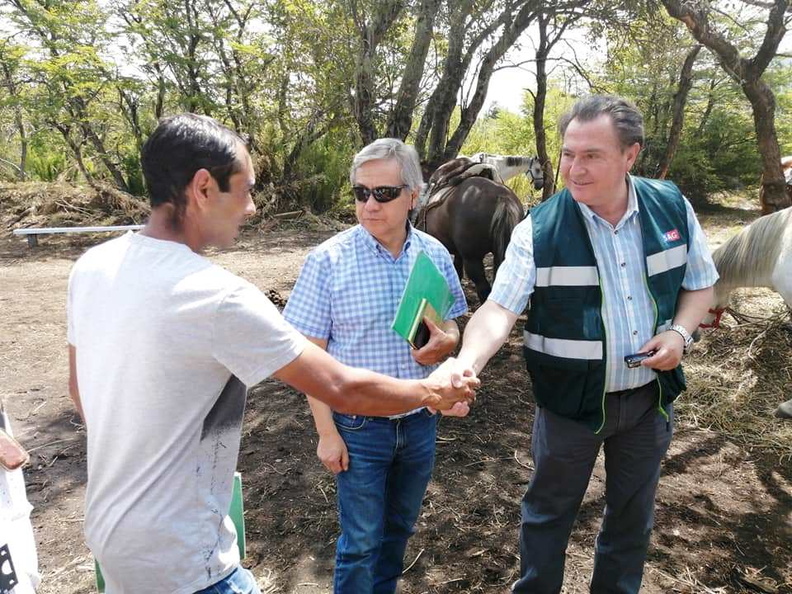 Fiscalización a propietarios que arriendan caballos en el sector de Valle Las Trancas 17-01-2020 (6)