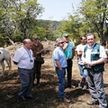 Fiscalización a propietarios que arriendan caballos en el sector de Valle Las Trancas 17-01-2020 (8)