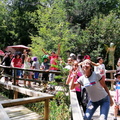 Trekkin y visita al Bosque Vivo disfrutaron los Niños(as) de la Escuela de Verano 21-01-2020 (3)
