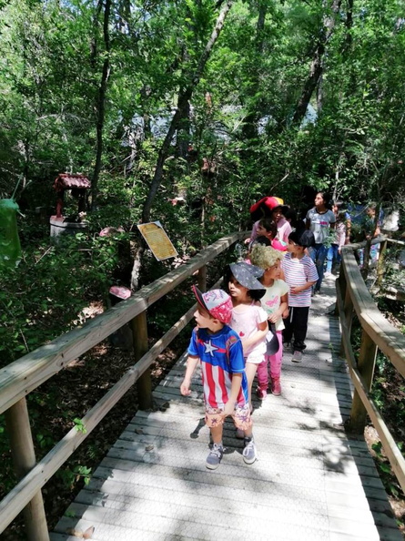 Trekkin y visita al Bosque Vivo disfrutaron los Niños(as) de la Escuela de Verano 21-01-2020 (6)