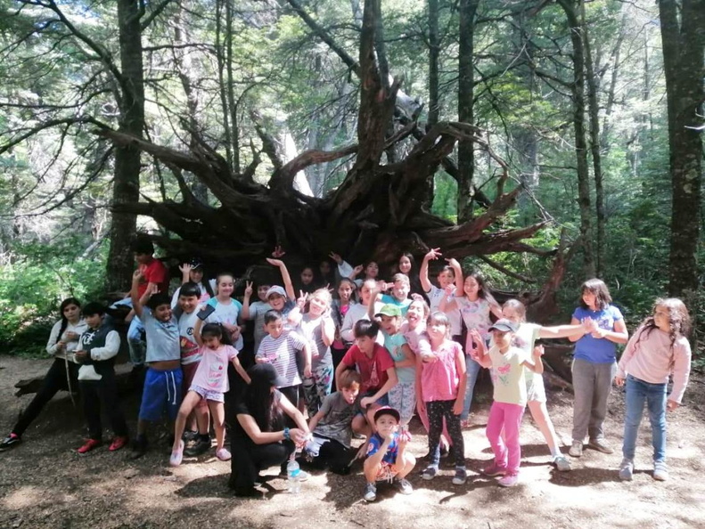 Trekkin y visita al Bosque Vivo disfrutaron los Niños(as) de la Escuela de Verano 21-01-2020 (9)