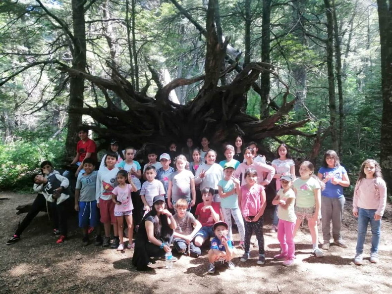 Trekkin y visita al Bosque Vivo disfrutaron los Niños(as) de la Escuela de Verano 21-01-2020 (10)