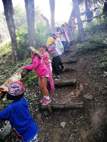 Trekkin y visita al Bosque Vivo disfrutaron los Niños(as) de la Escuela de Verano 21-01-2020 (11)