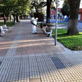 Sanitización de espacios públicos de Pinto 22-03-2020 (6)