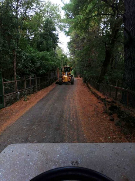 Equipo municipal continúa con la reparación de caminos en Pinto 22-05-2020 (7)