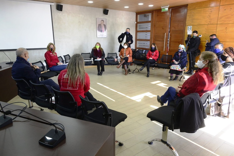Conversatorio con la Mesa Regional de la Mujer Campesina de Ñuble 05-06-2020 (1)