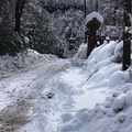 Revisión de caminos por caída de nieve 26-06-2020 (2)