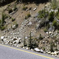 Desprendimiento de rocas entre los kilometros 65 y 70 ruta N-55 14-01-2021 (2)