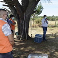 Inauguración de 9 soluciones de agua individual en Paso Perales 05-02-2021 (24)