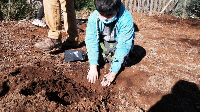 Trasplante de árboles nativos por estudiantes de educación 30-06-2021 (16)