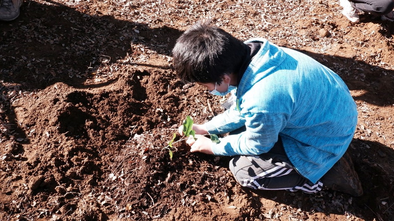 Trasplante de árboles nativos por estudiantes de educación 30-06-2021 (17).jpg