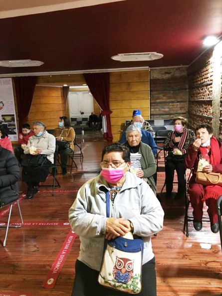 Vecinos de Pinto participaron en ciclo de cine chileno en Concepción 16-09-2021 (2)