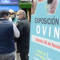 Punto de prensa XVII Exposición Intercomunal Ovina de Pinto 03-11-2021 (9)