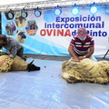 XVII Exposición Intercomunal Ovina de Pinto 08-11-2021 (102)