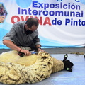 XVII Exposición Intercomunal Ovina de Pinto 08-11-2021 (103)