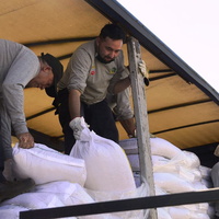 Entrega de concentrado de alimentos en sacos de 25 kilos para ganadería a ganaderos de Pinto